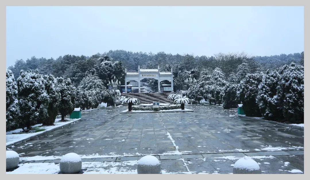 烈士陵園▲上高二中雪景雖美但也要注意交通安全2019年祝大家豬年