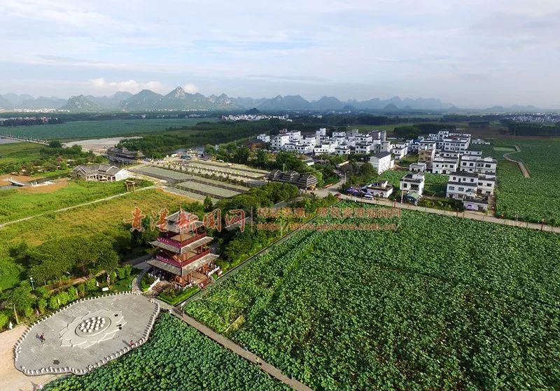 美呆原來貴港有這麼多國家3a4a級景區趕緊收藏起來