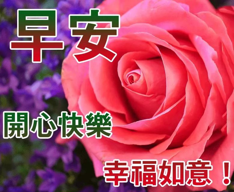 早上好問候圖片大全早上好祝福語錄2019