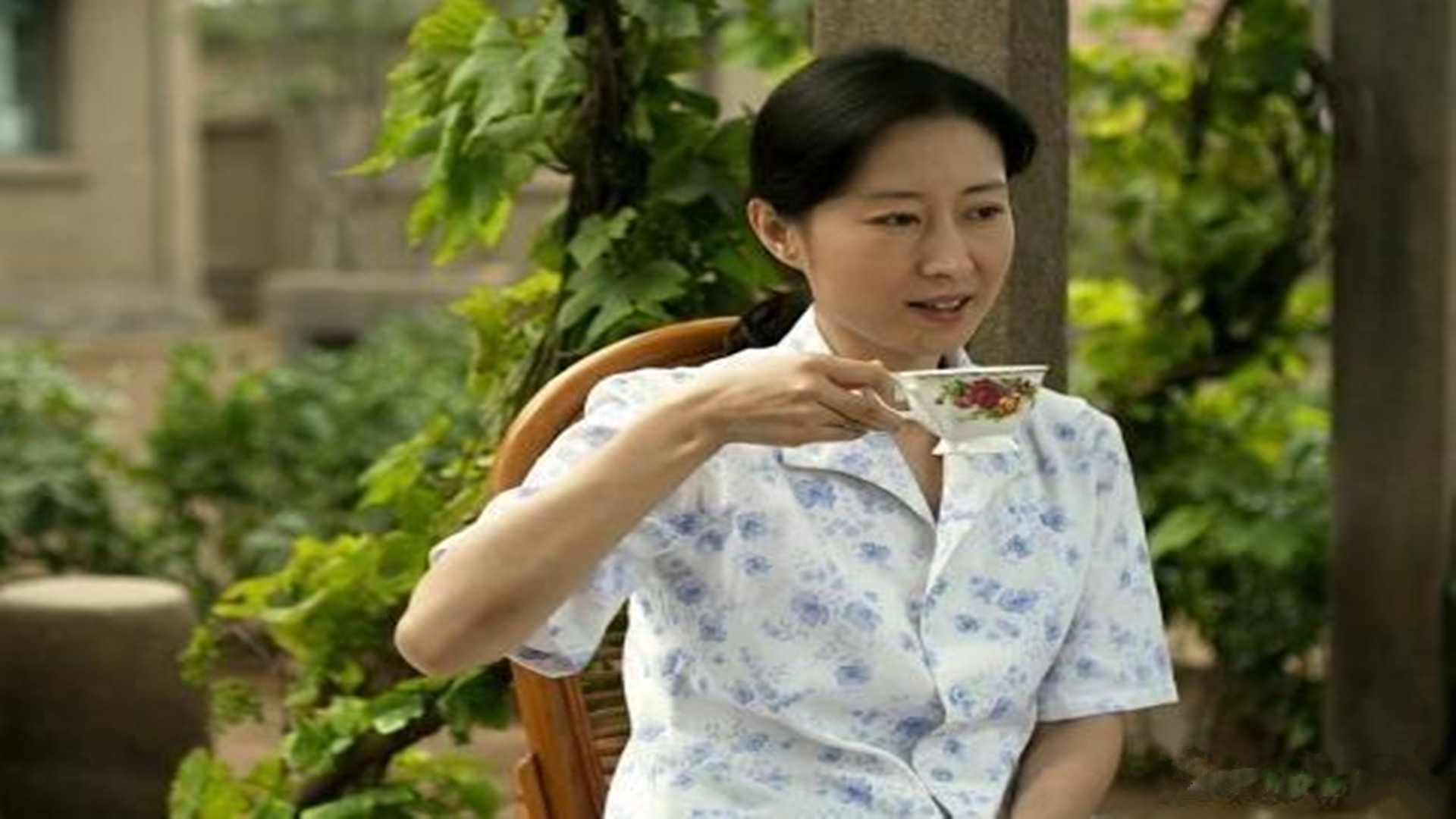2010年,刘敏涛参演孔笙执导,李晨,霍思燕主演的家庭情感剧《风车》