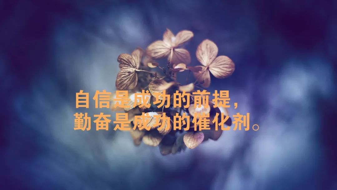 早安正能量精闢語錄早晨激勵人心的勵志正能量句子