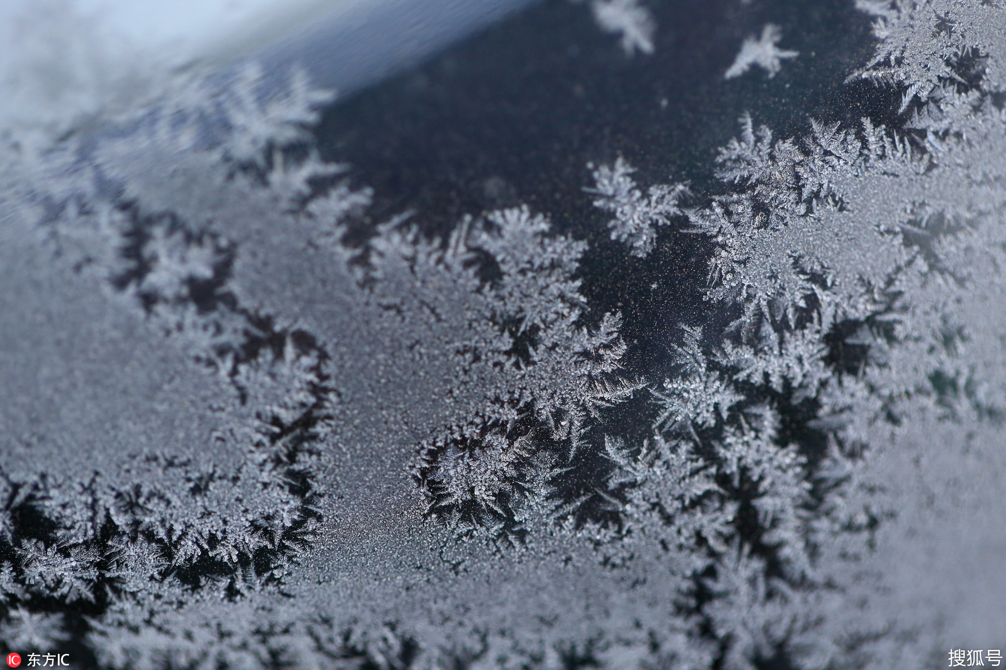 冬天窗户上冻冰花图片,窗户上的冰花图片,窗户上的冰花_大山谷图库