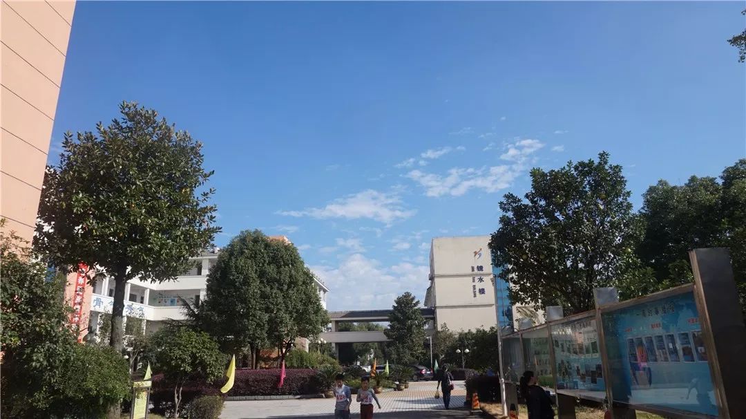 首批绍兴市现代化学校名单出炉柯桥共有6所学校上榜有你母校吗