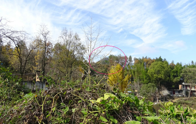 安徽高山之巔也能結風水寶地王君植風水大師帶弟子實戰看風水龍吐珠形