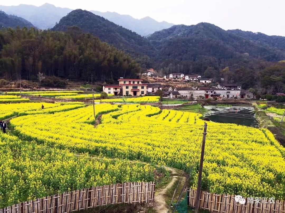 两侧旅游公路入口(金发铜业旁空地,谌母岭,大梓社区管理中心的松树