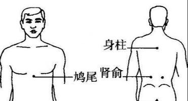 鸠尾的准确位置图图片