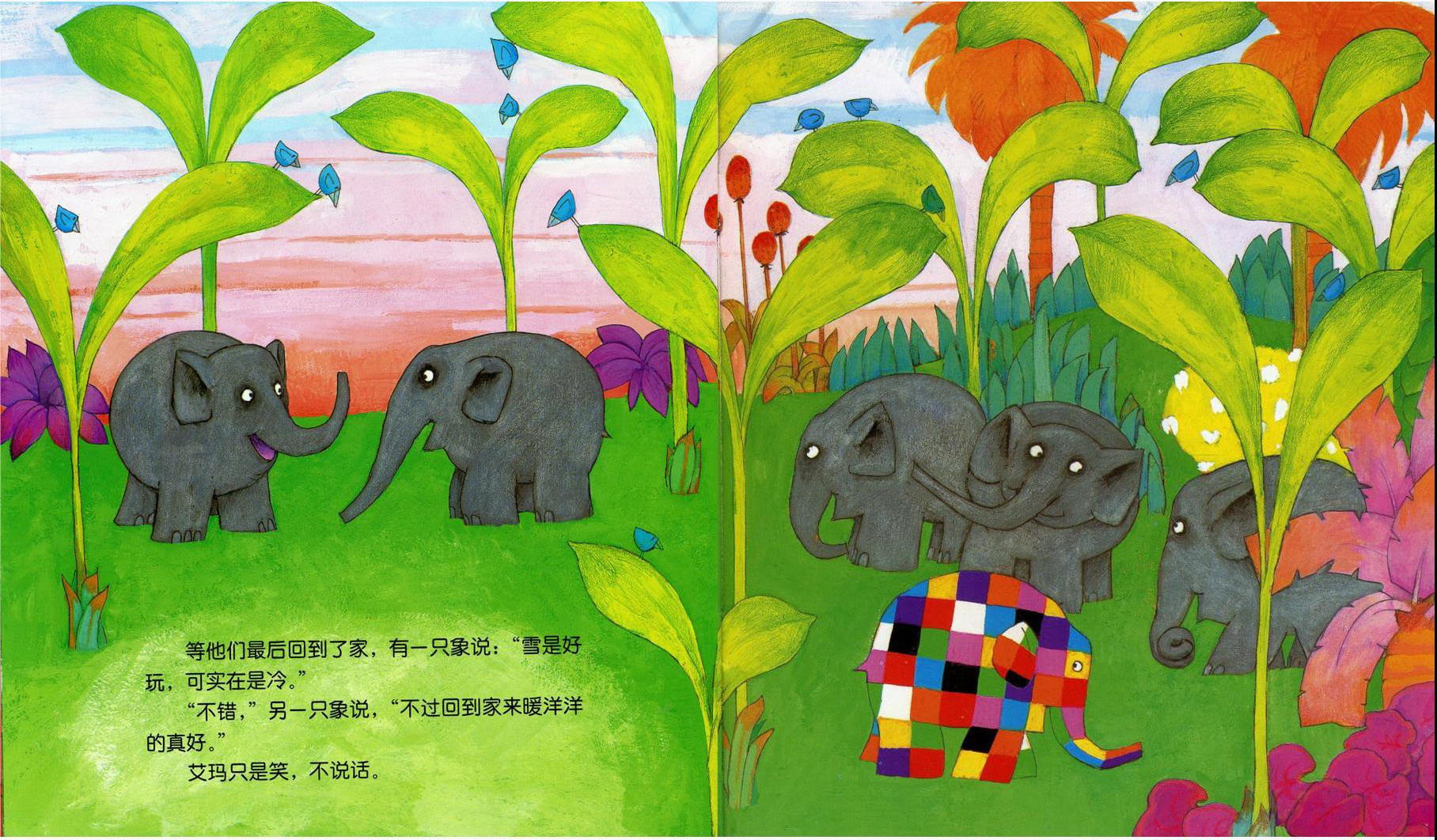 花格子大象艾玛 封面图片
