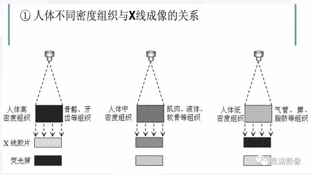 最全讲解 