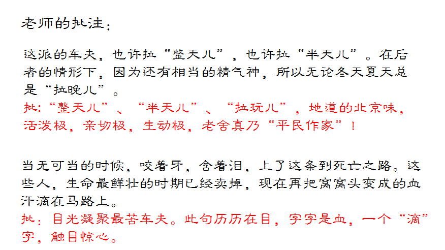 特級風采當駱駝祥子遇上圈點與批註特級教師張寰宇一堂充滿語文味兒的