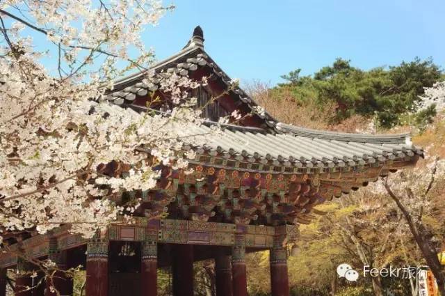 韩国三大佛寺图片