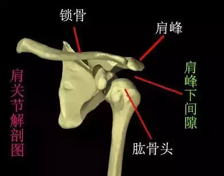 開胯不開肩,瑜伽等於白練!只要一條毛巾就能讓你輕鬆開肩