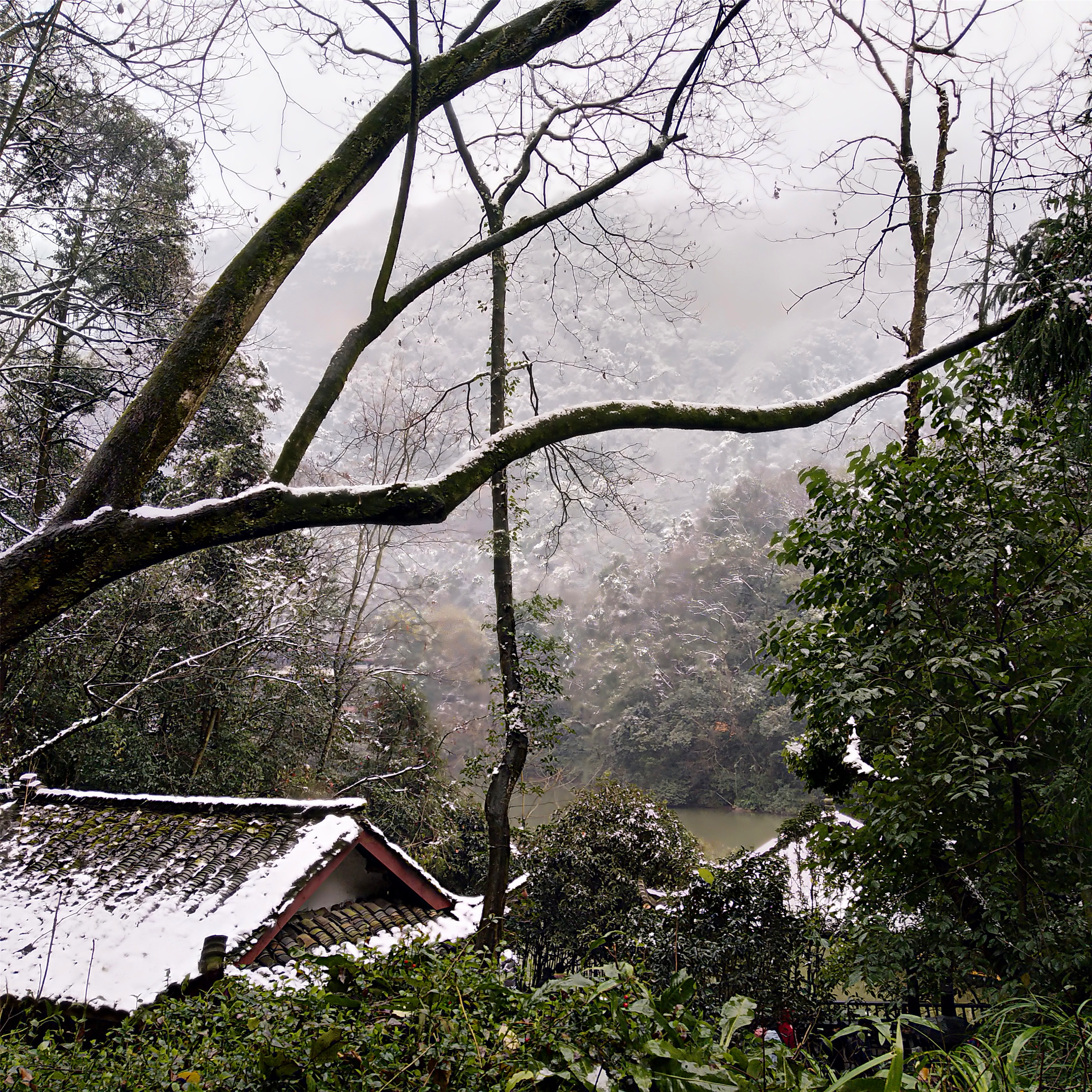 1231青城山雪