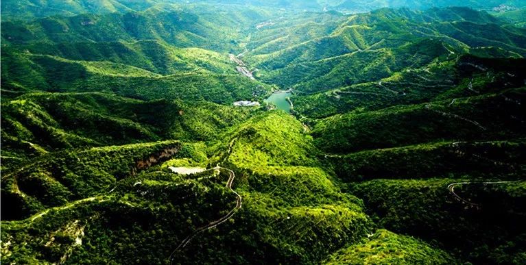 遠山近影(董其鑄 攝)靜美(車蒙 攝)群舞(劉磊 攝)水清草綠白鷺飛