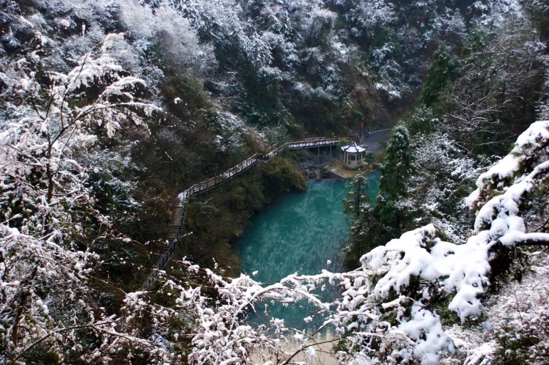 飛舞南明湖夜色三巖寺冒險島在兩地山海協作交流更加密切的將來相信