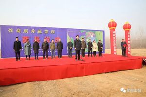 爸爸的菜园子在山城区鹤鸣湖畔开建,中医农业产品总有一款适合你