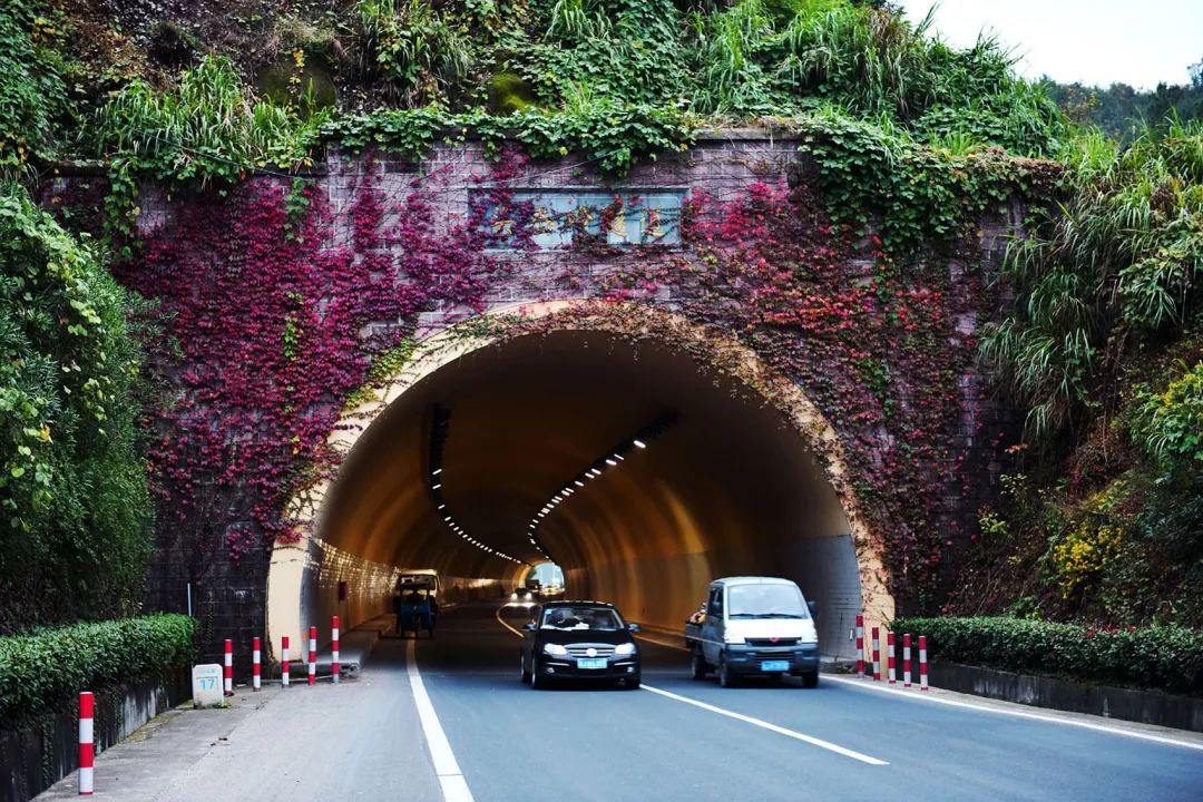温州山福镇金岙隧道图片