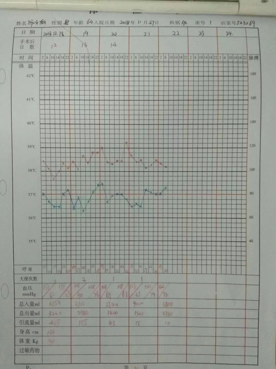 弛张热体温单图片