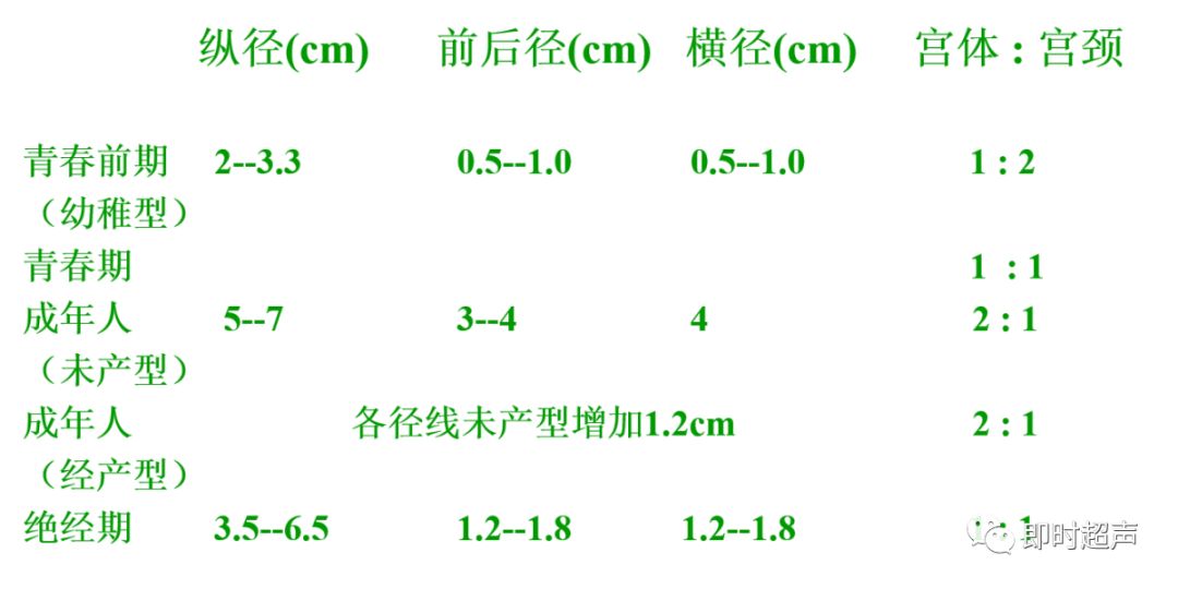 ⑶厚径⑵横径⑴纵径1,子宫:不同发育阶段的子宫正常测值不同(三)正常