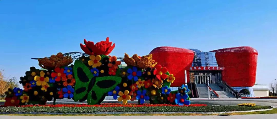 沂州花卉市场图片