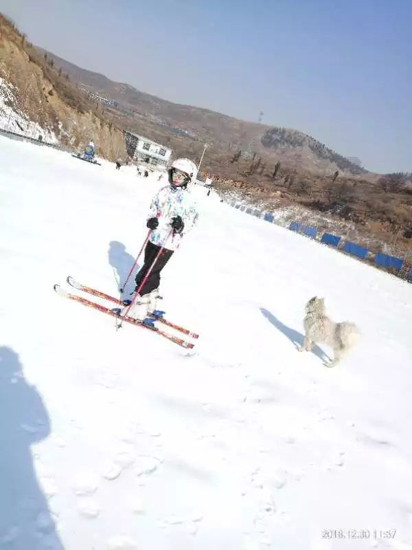 汝州龙凤山滑雪场门票图片