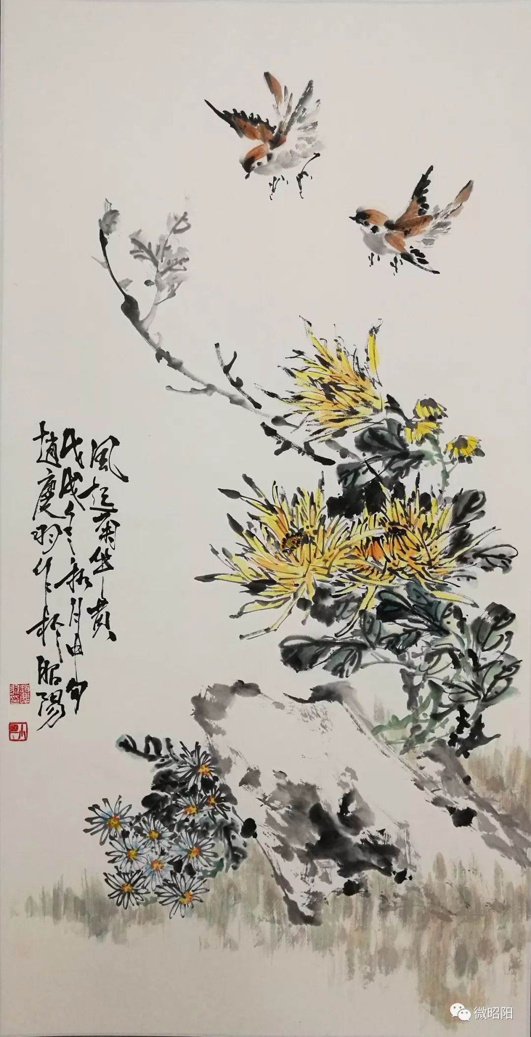 作者簡介趙慶羽,75年生,雲南昭陽區人,自幼隨昭通花鳥畫名宿陳明禮