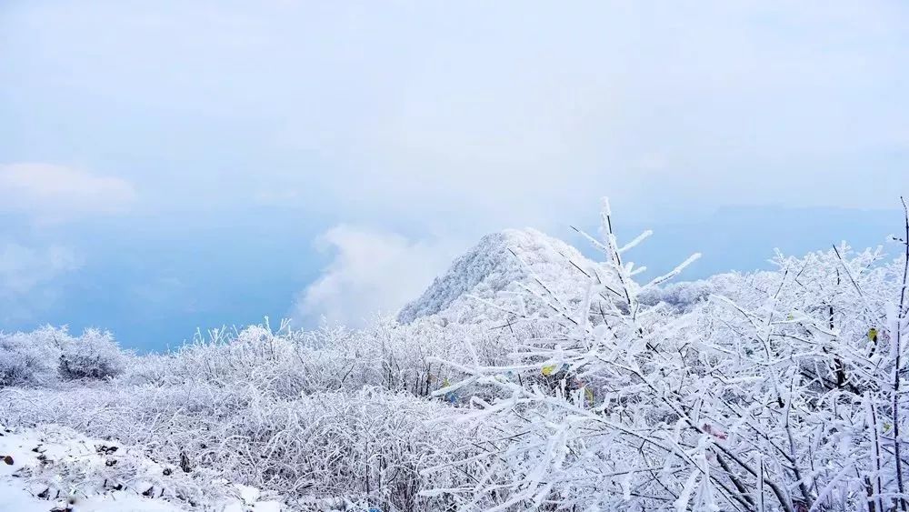 登高望遠彭州天台山賞雪徒步1日