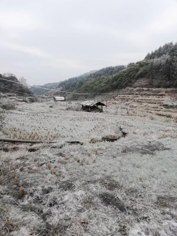 下雪啦下雪啦黃桑這些地方的冰雪景觀你到嗨了嗎