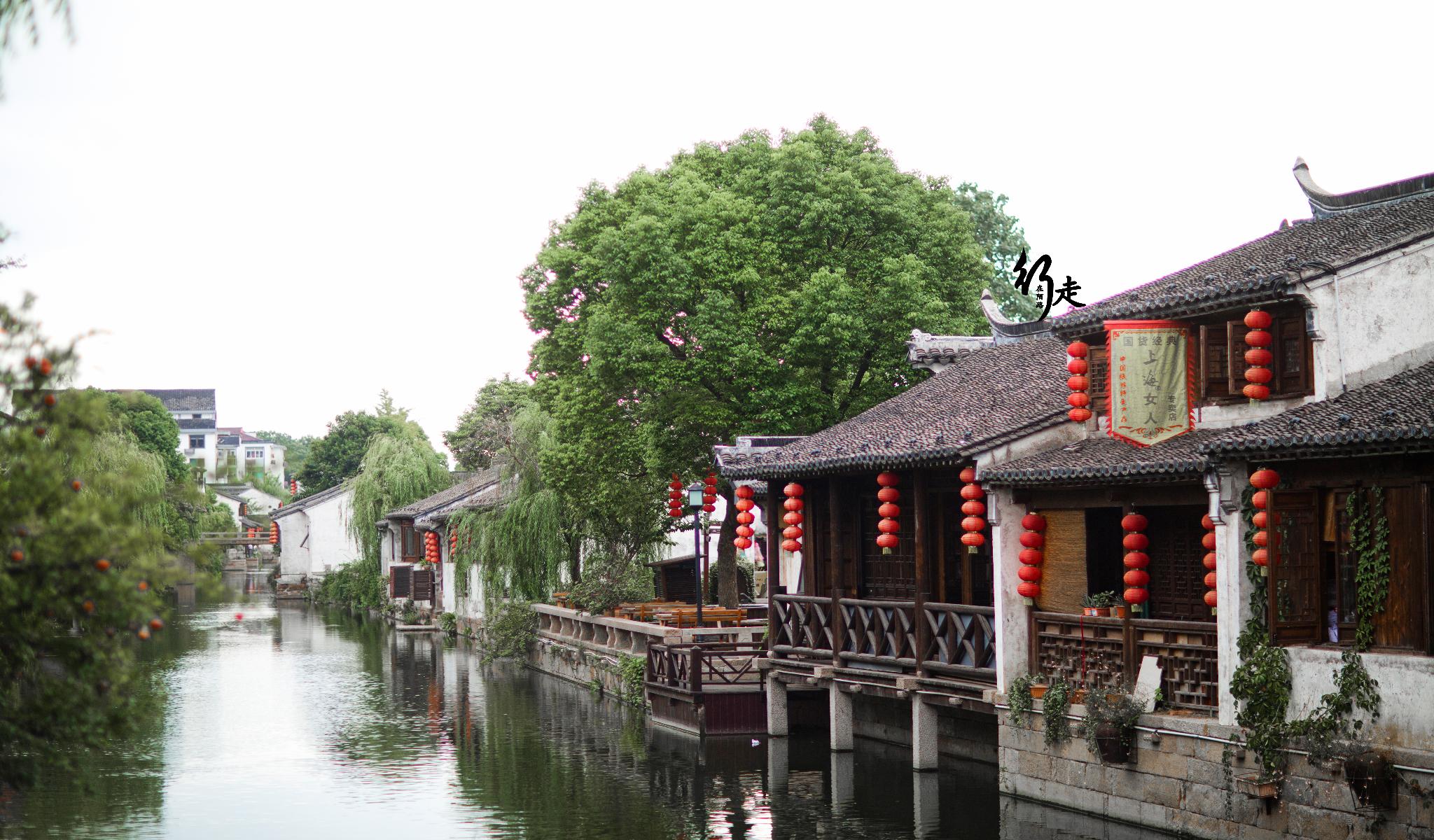 不一样的江南古镇:孝义持家,名人辈出,中国最美村镇之一