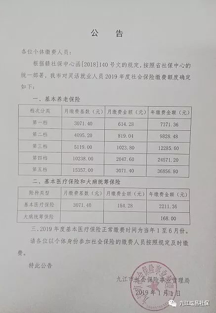 2019年度靈活就業人員社會保險繳費額度