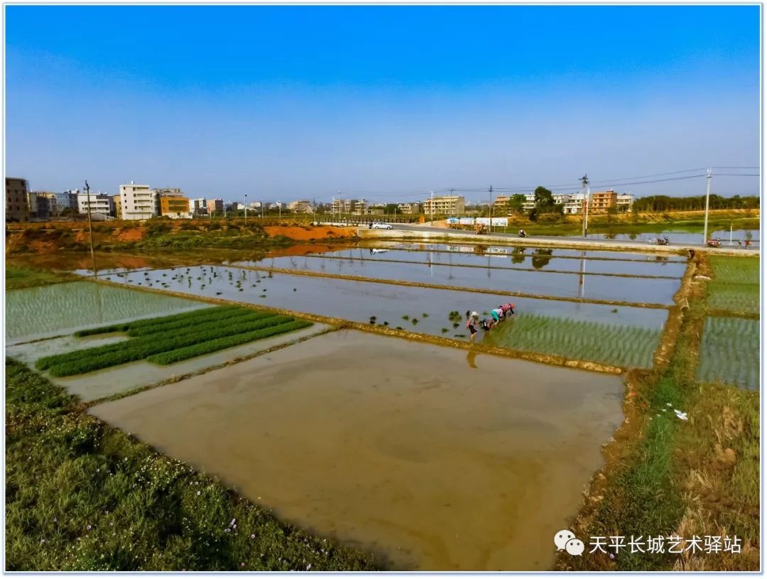 山湖一个越来越美的生态旅游乡村