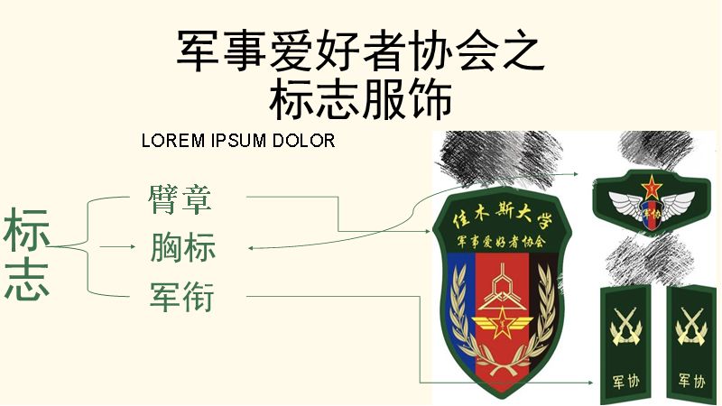 军事爱好者协会logo图片