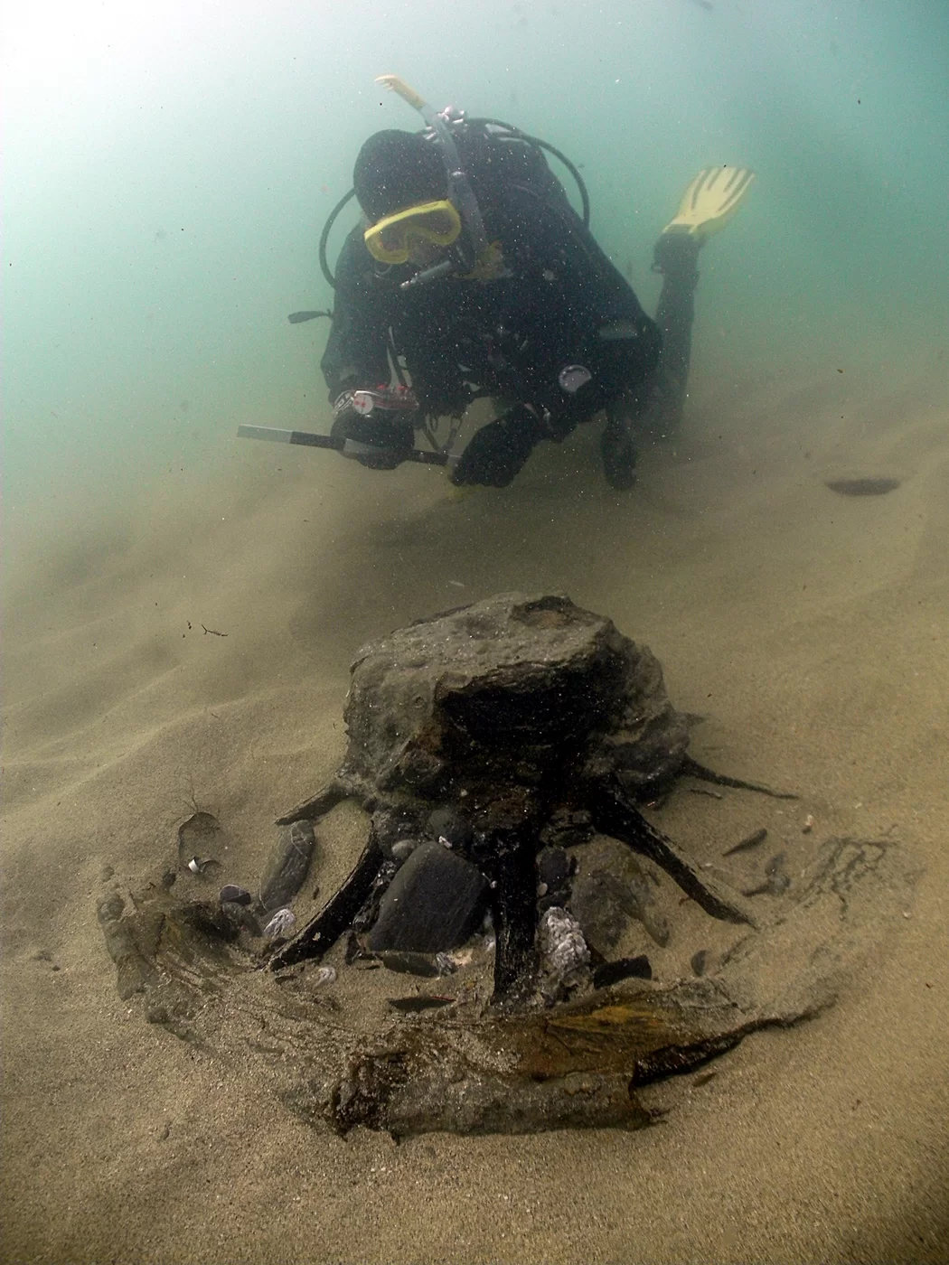 英國海岸衝出17世紀海盜船殘骸,考古學家找到大炮