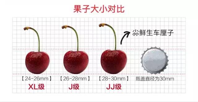 一年仅一季甜脆到心底去年好评99刷屏朋友圈的心形车厘子又来啦