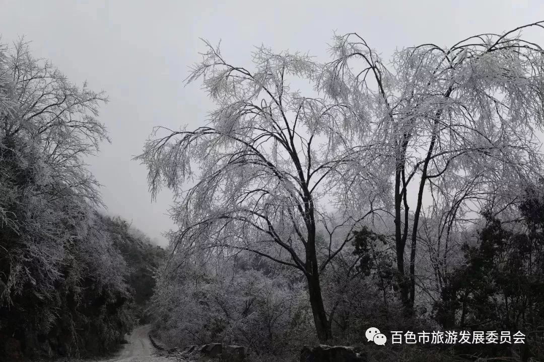 除了大石围天坑群景区冰雪下的乐业大石围天坑冰雪乐业赶紧去邂逅这稍