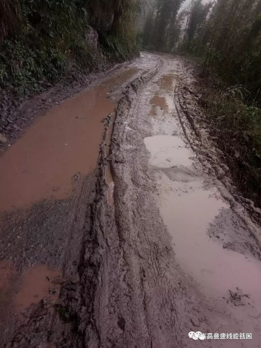 这是可久进步村的路,泥泞坑洼,道路上一