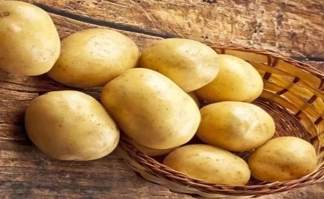 薯讯转基因土豆问世了美国批准3种转基因马铃薯