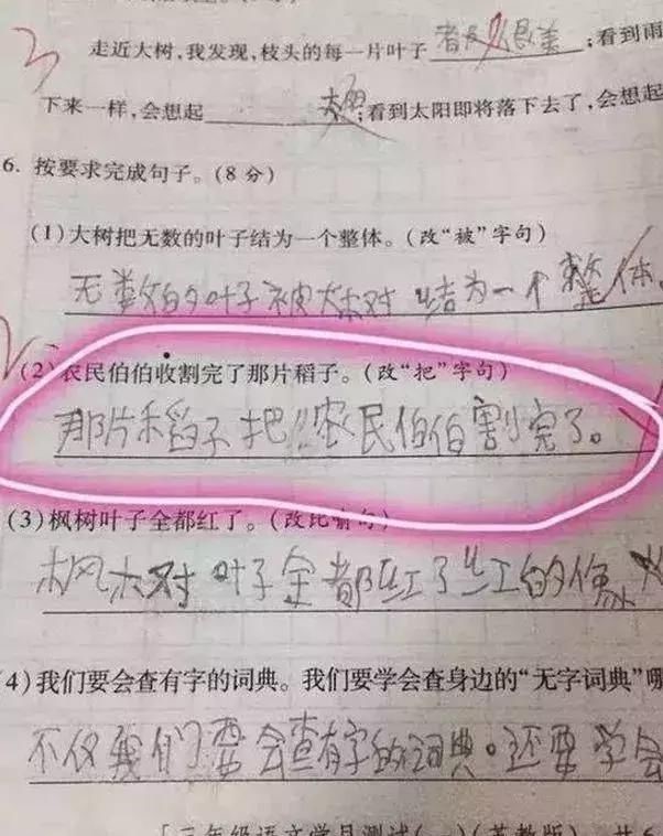 笑死人的奇葩照片作业图片