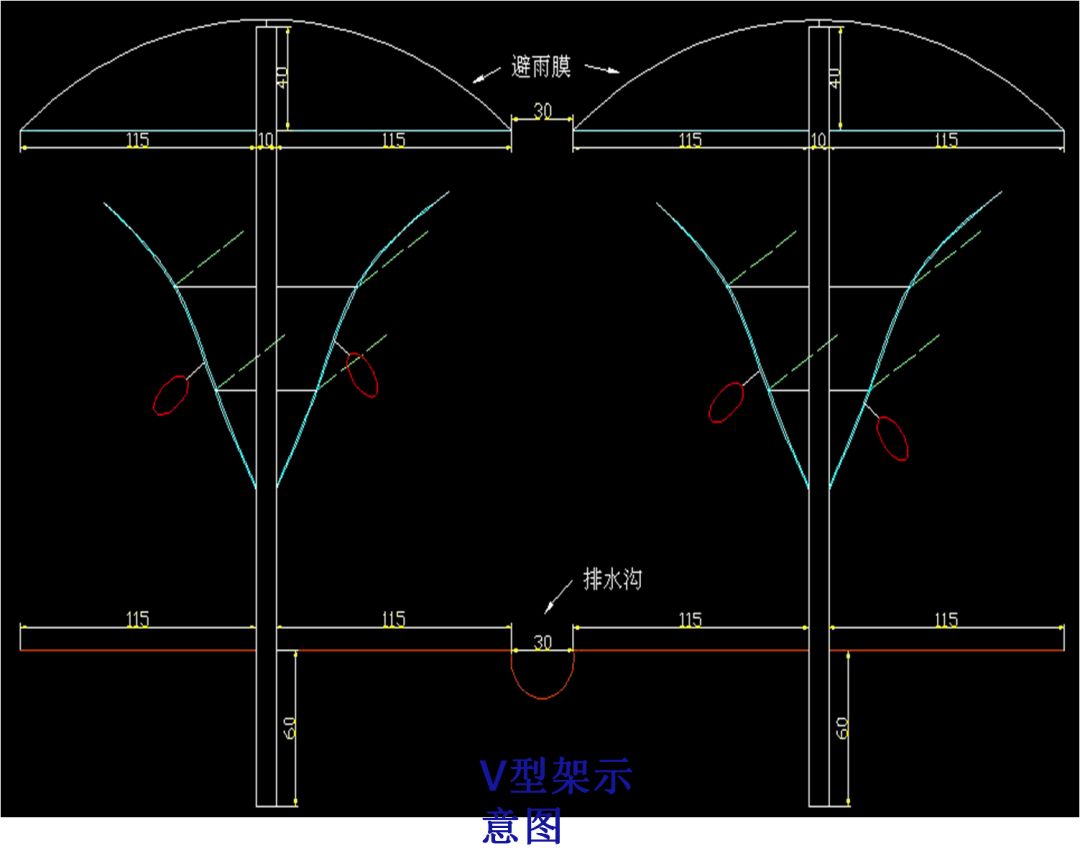 h型行距6