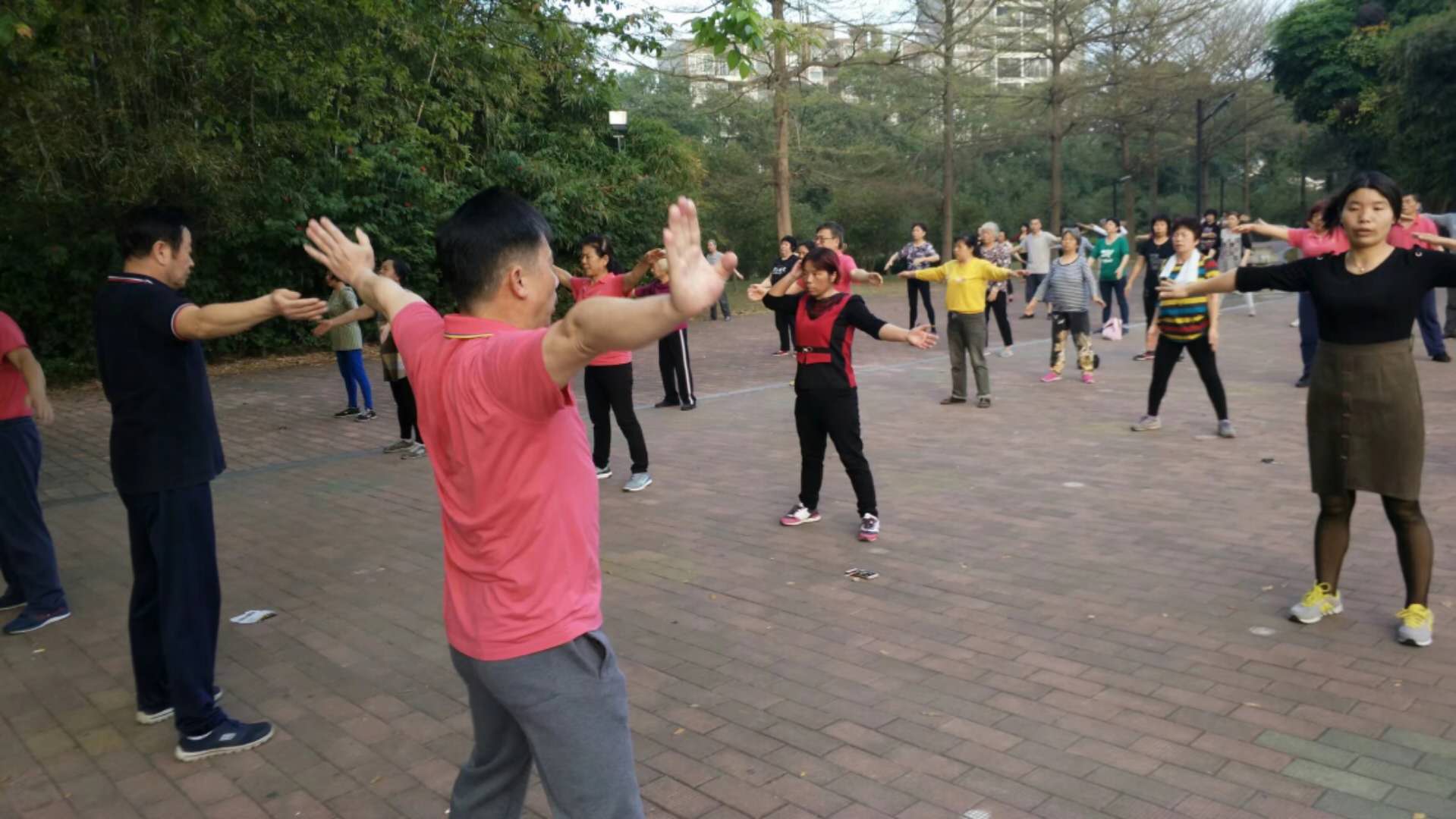 太极12拍全套图片