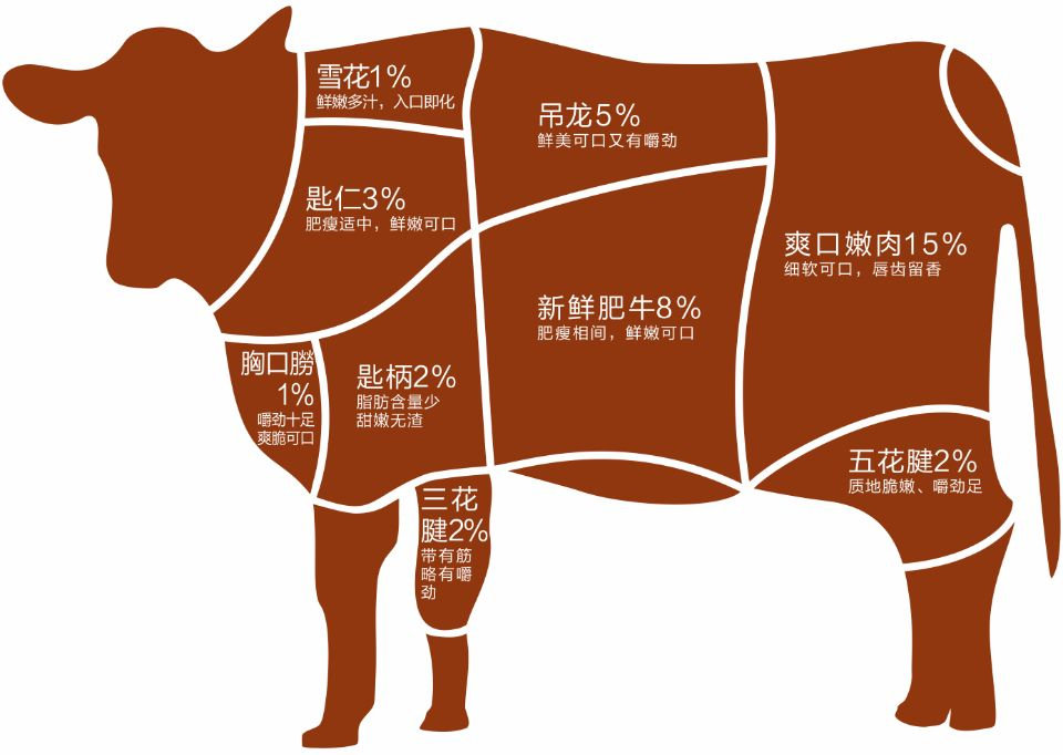 牛肉分布图高清 图示图片