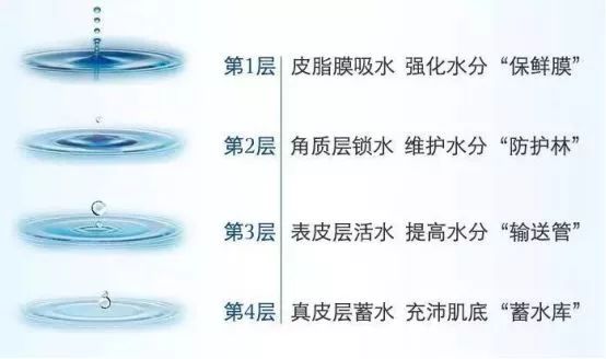 加入超補水成分,透明質酸分子和水解膠原雙效作用,讓手部的每一個細胞