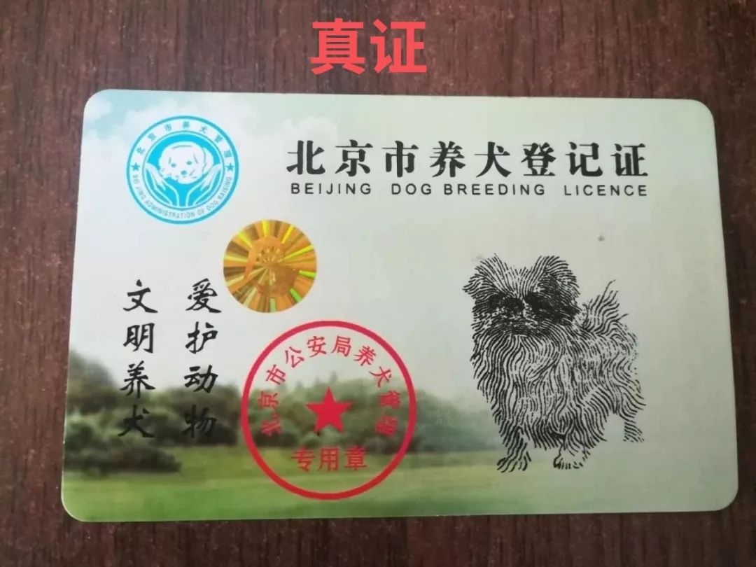 在通州养狗的赶紧看看吧,一男子因办假犬证行骗被警察抓了!