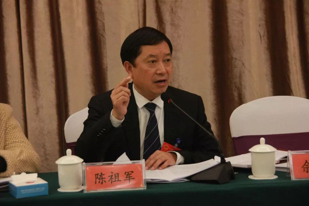 毕节市市长张集智参加大方县代表团审议