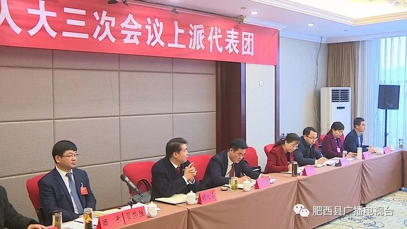 "两会"进行时】县十七届人大三次会议各代表团进行审议