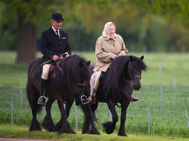 92歲英國女王愛馬去世柯基離去後再受打擊3歲開始與馬結緣