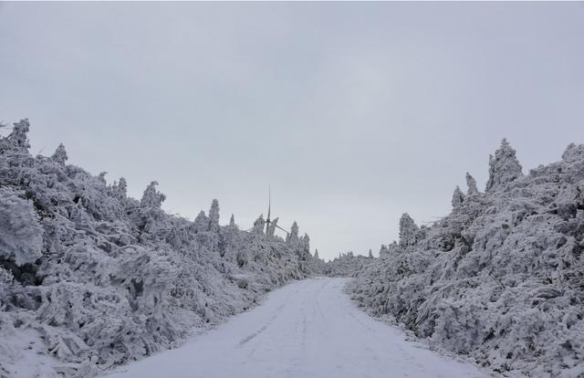 全州黄花岭雪景图片