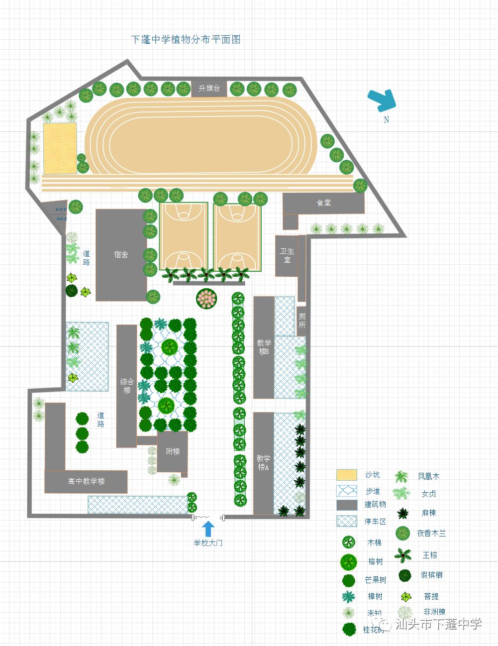 《下蓬中学植物种类分布调查》课题组绘制的《下蓬中学植物分布图》