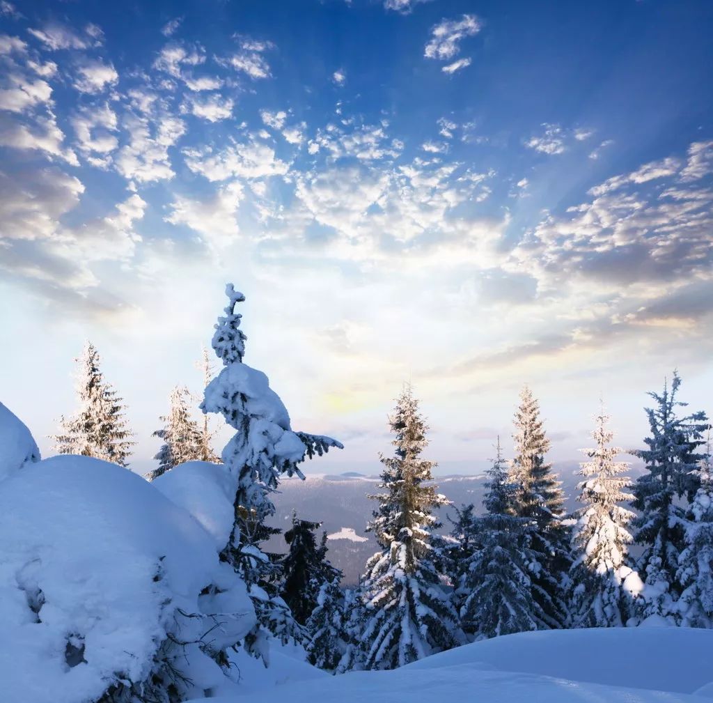 冬天雪景图片大全意境图片