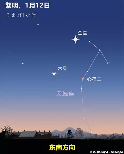 到1月12日,金星已经逼近木星和心宿二,缩短了这个三角形