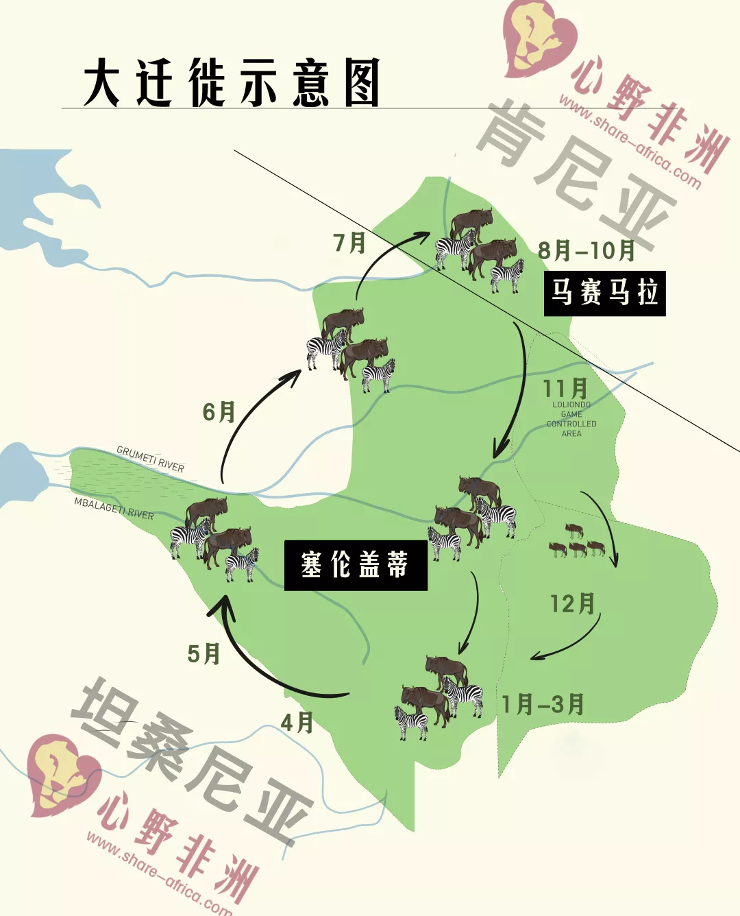 非洲动物迁徙的路线图图片